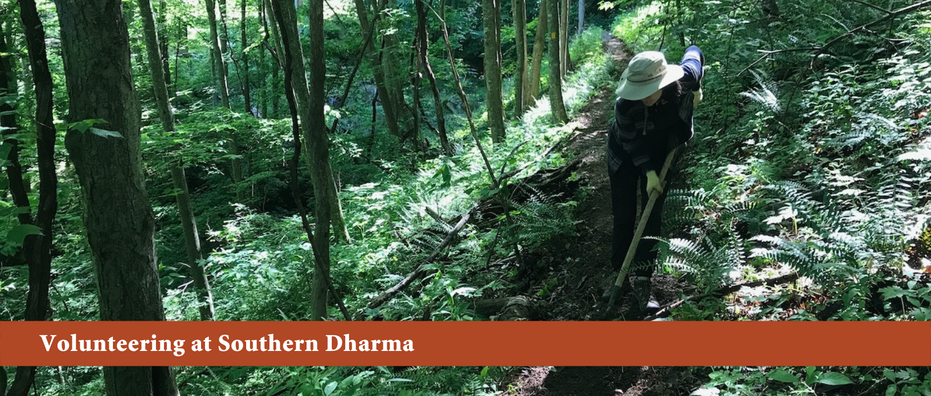 Volunteering at Southern Dharma