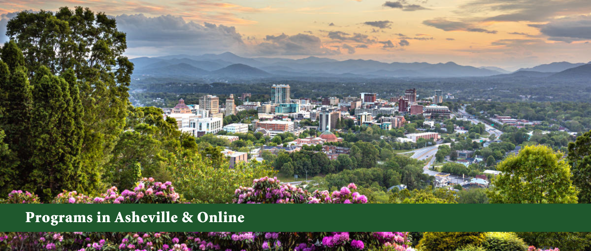 Programs in Asheville & Online